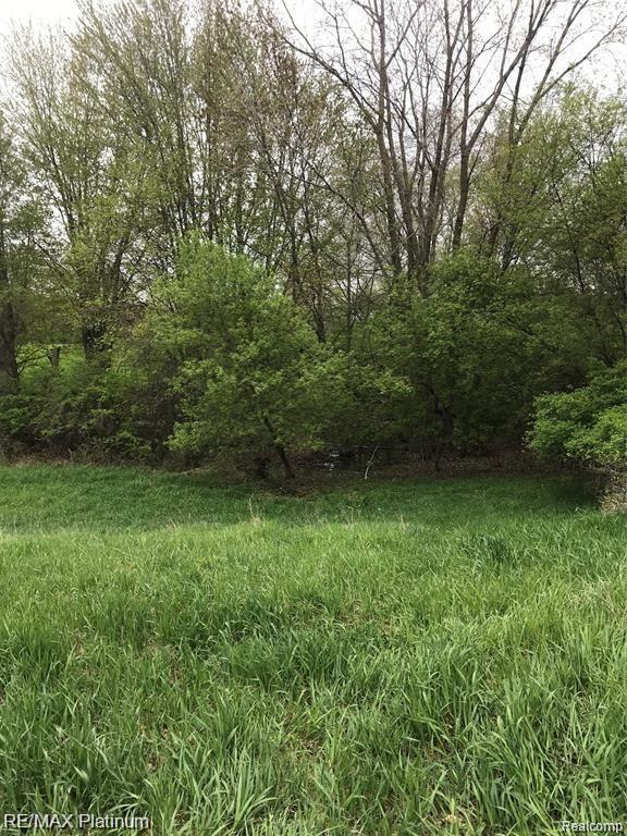Vl Kane Road Stockbridge, MI 49285 - Photo 15 of 23