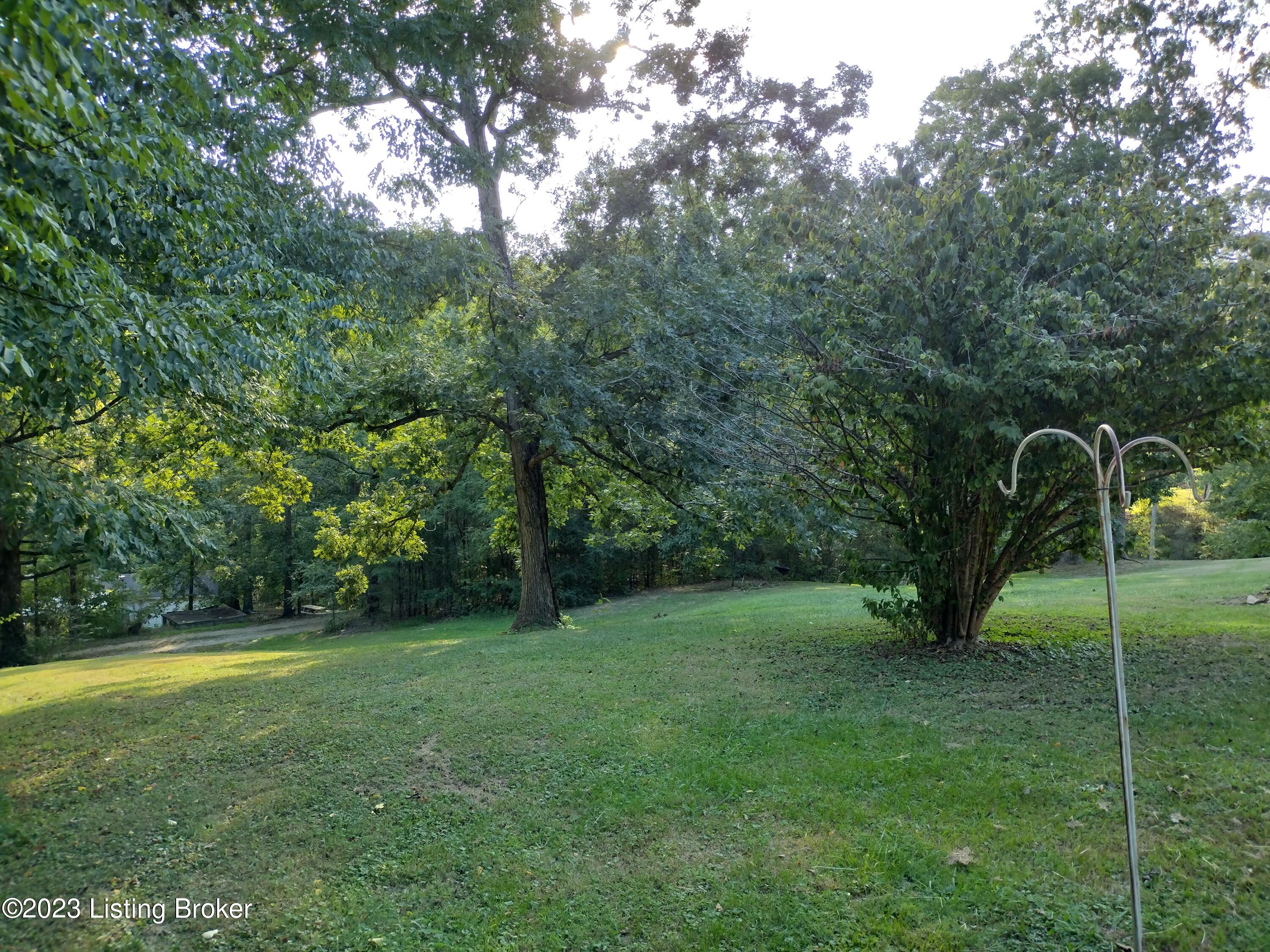 333 Buckman Hollow Road Shepherdsville, KY 40165 - Photo 29 of 35 Front Yard