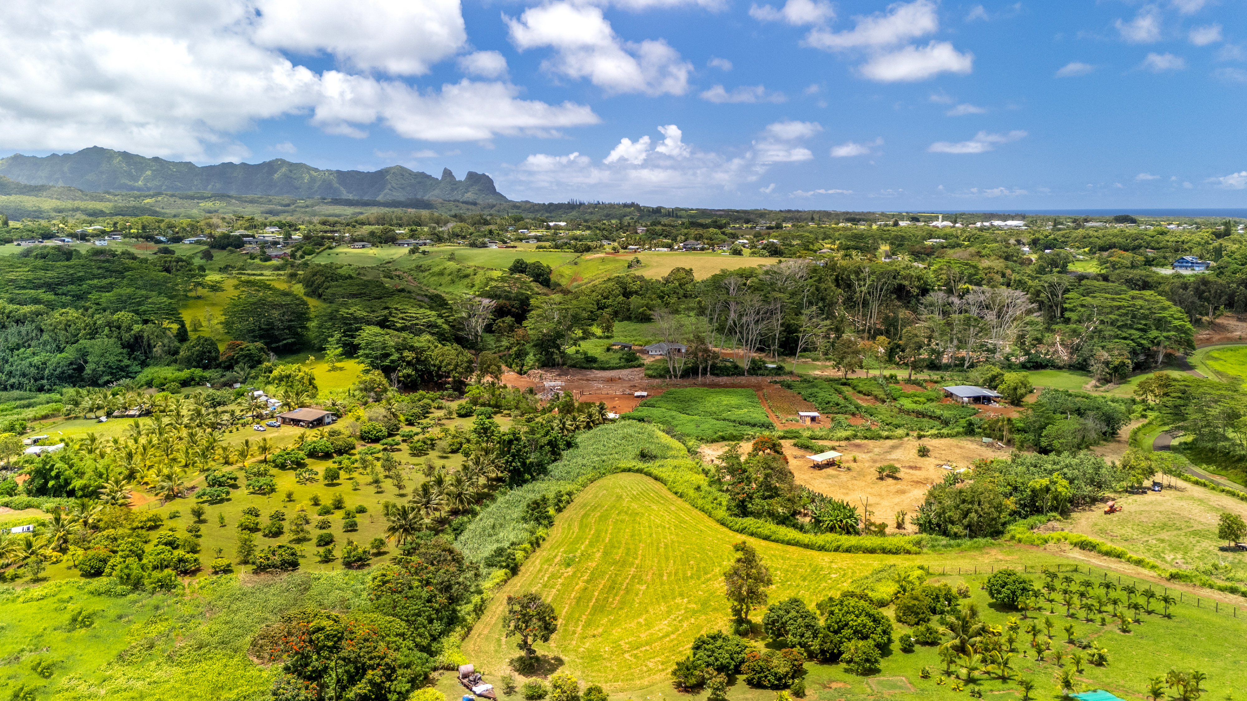 St, Unit 4C Kapaa, HI 96746 - Photo 15 of 22