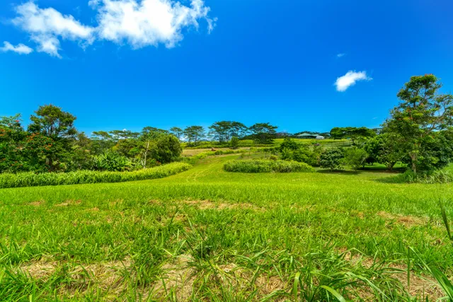 $599,000 | St, Unit 4C, Kapaa, HI 96746