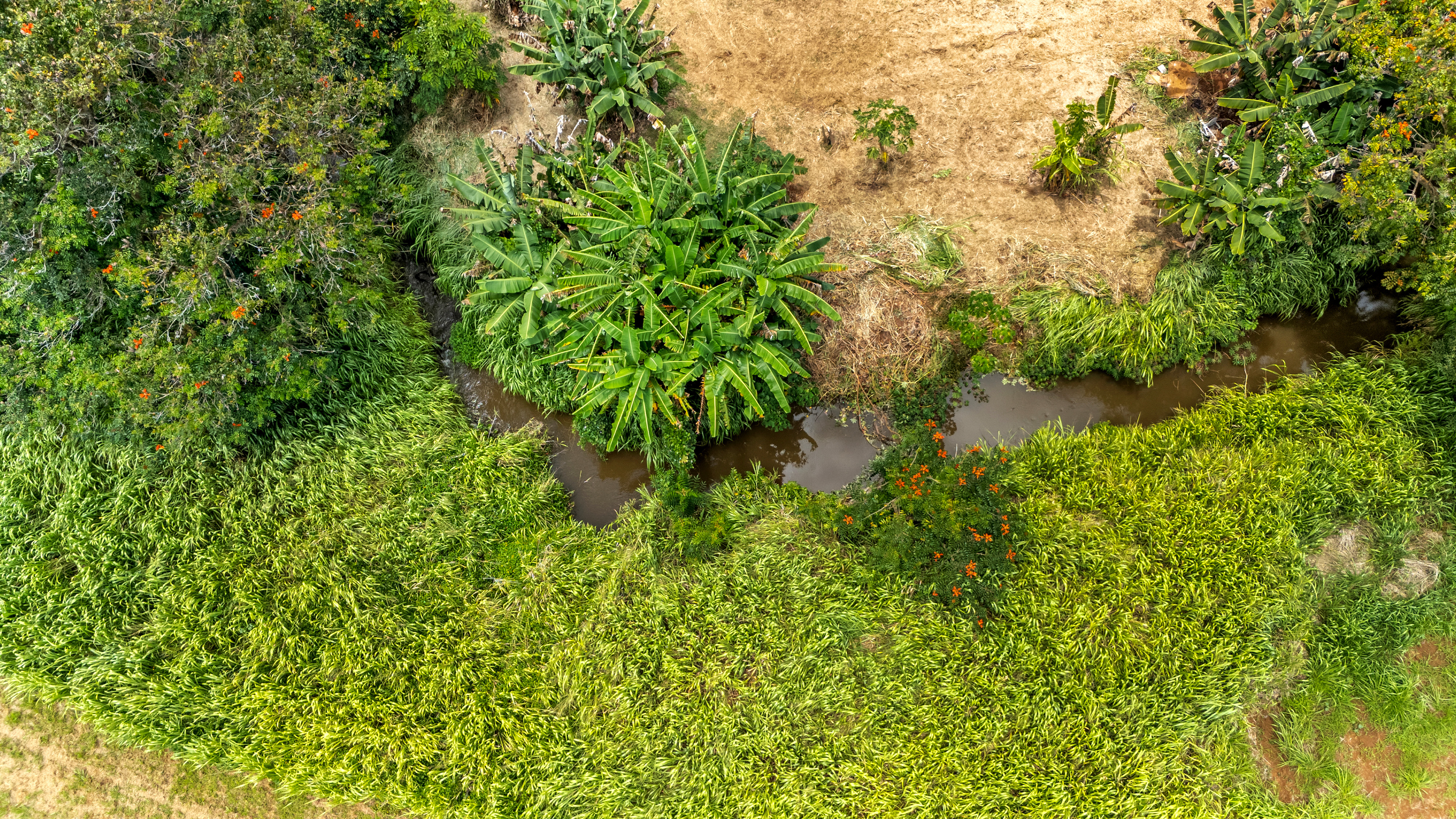 St, Unit 4C Kapaa, HI 96746 - Photo 5 of 22
