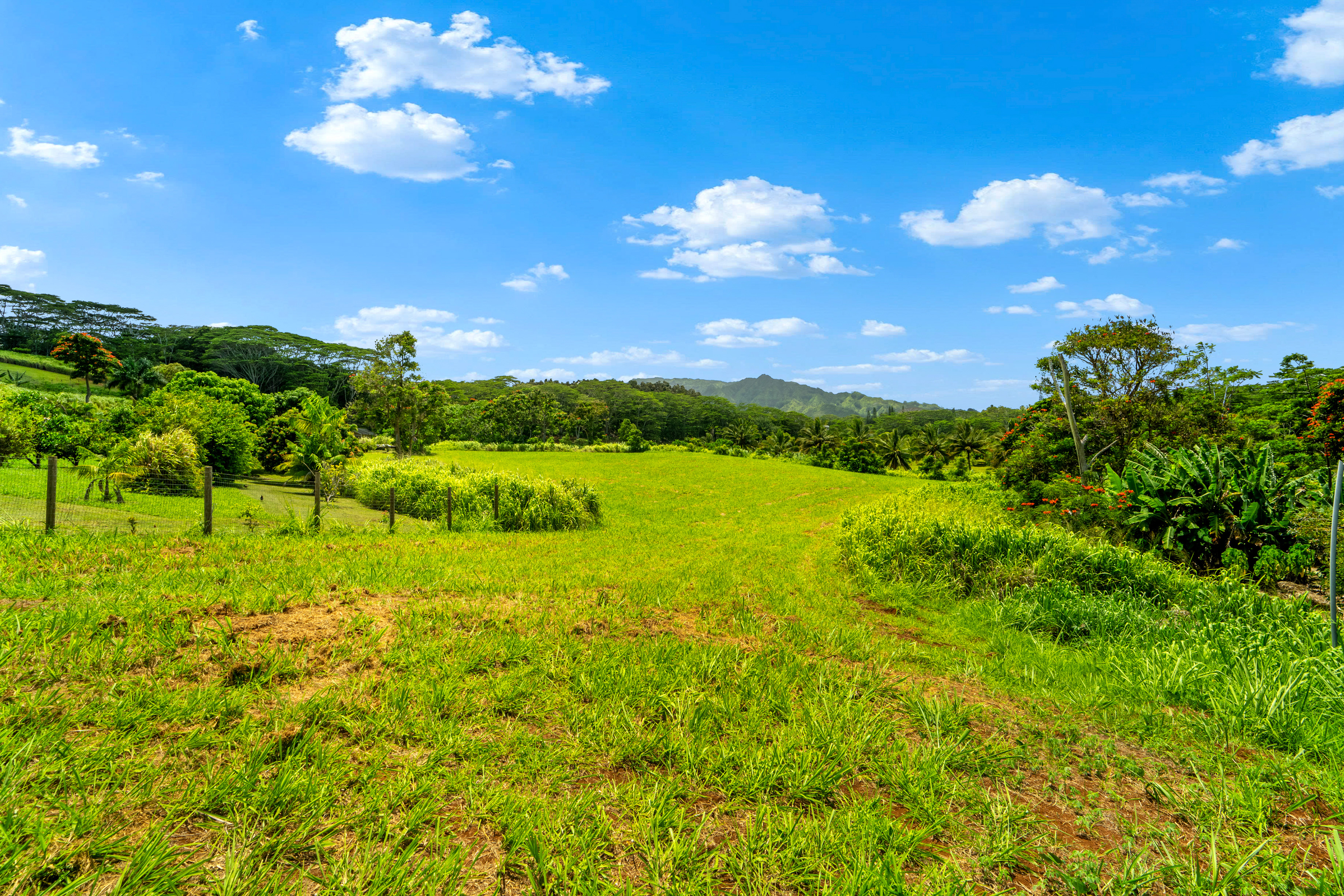 St, Unit 4C Kapaa, HI 96746 - Photo 6 of 22