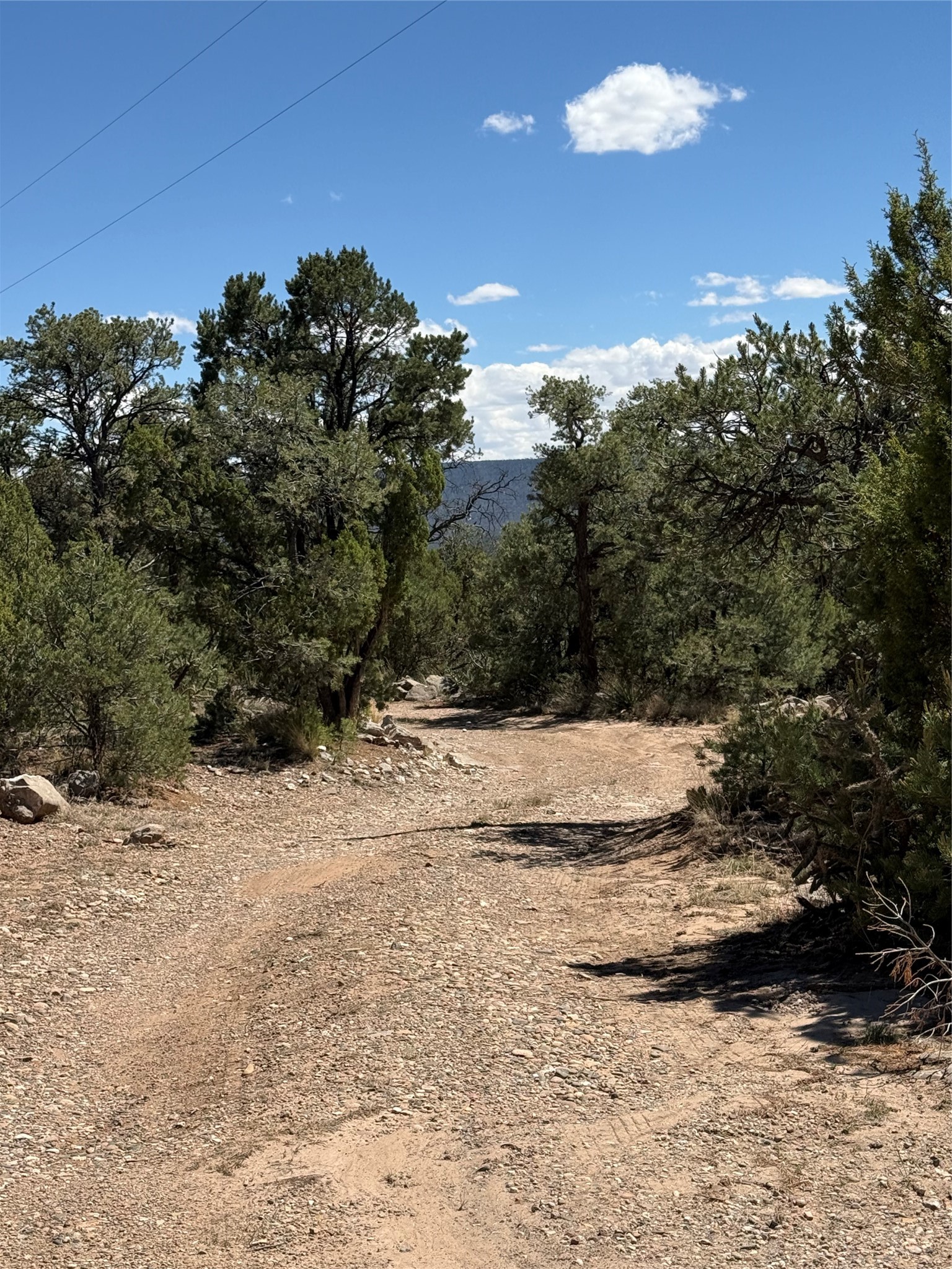 174 Hidden Valley Ranch Road Ilfeld, NM 87538 - Photo 29 of 30