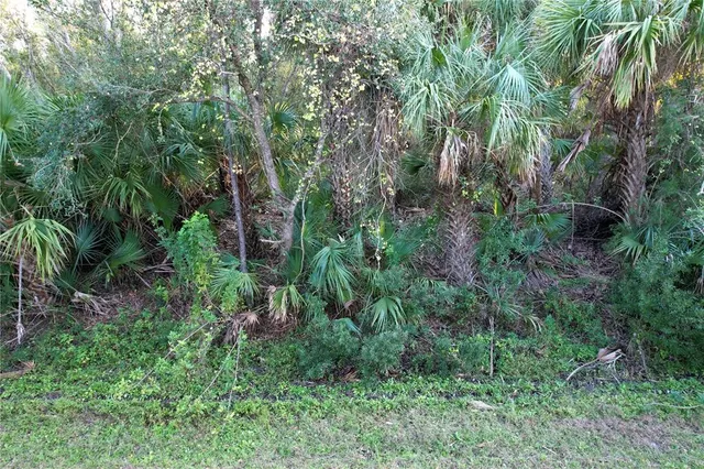 an aerial view of residential house with outdoor space and trees all around