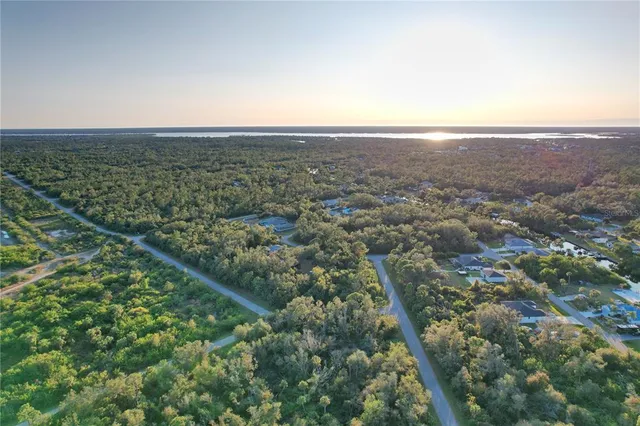 an aerial view of forest