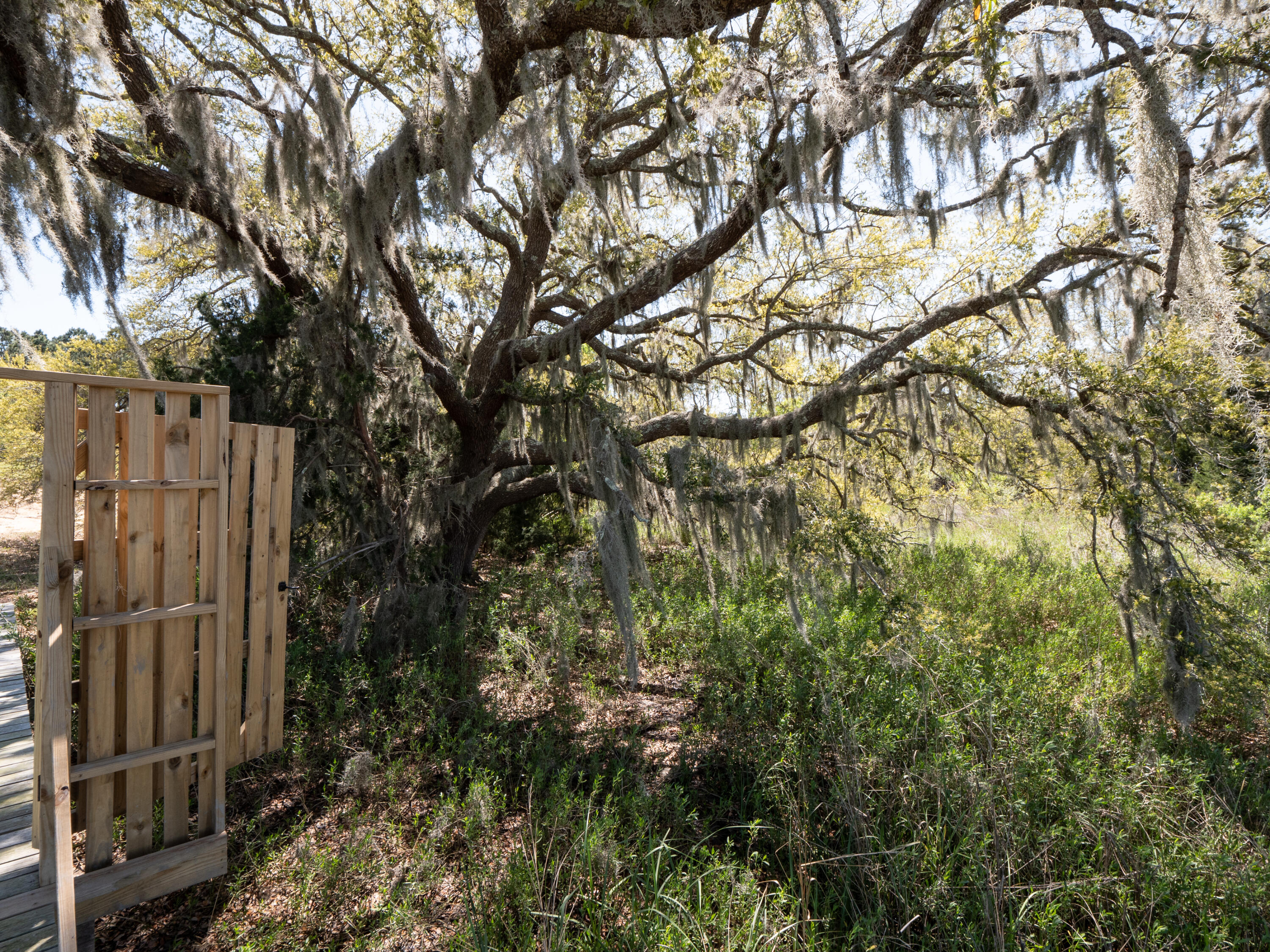 Lot 10 Hopkins Place Road Edisto Island, SC 29438 - Photo 11 of 17 Edisto-1495372