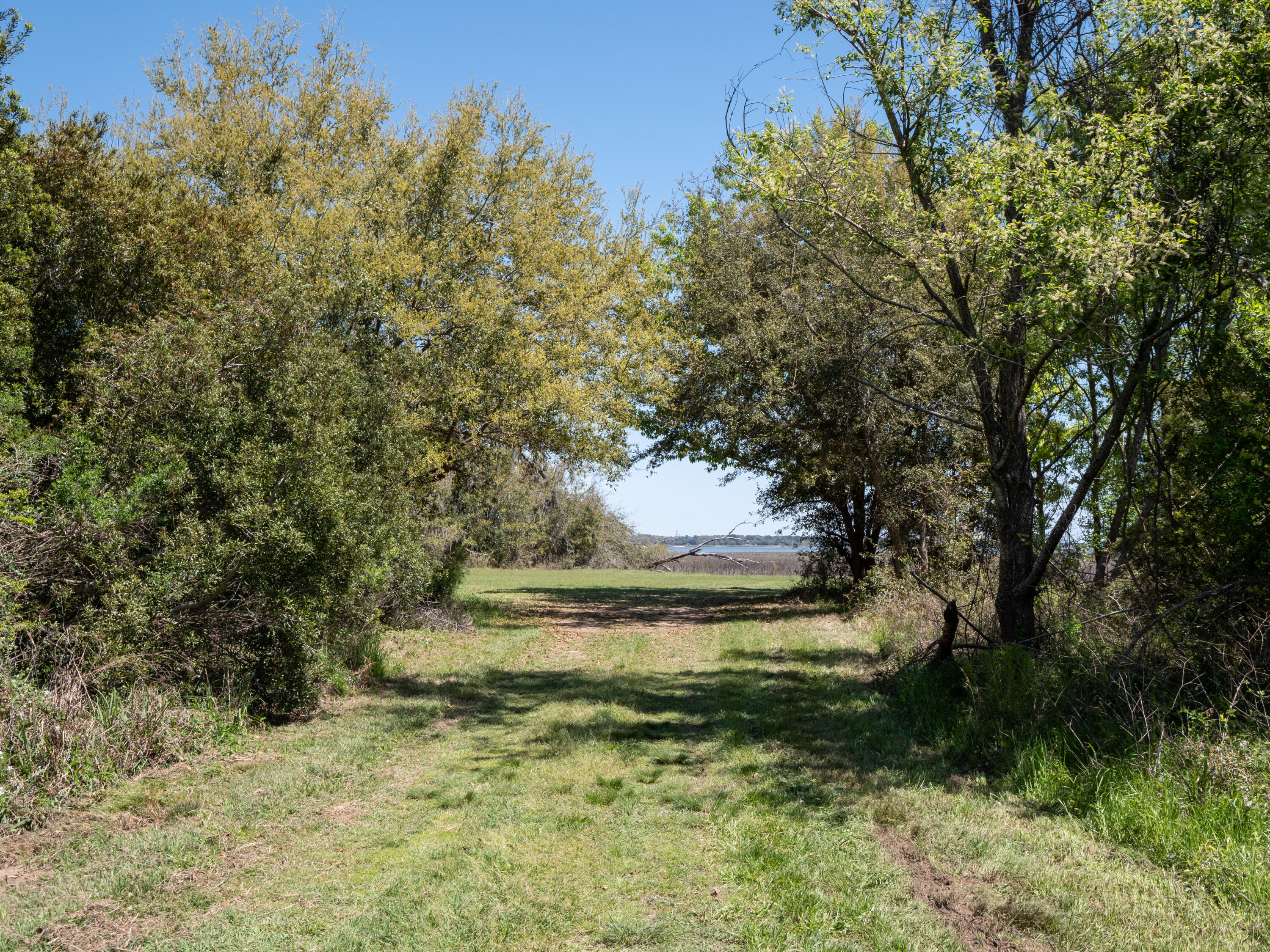 Lot 10 Hopkins Place Road Edisto Island, SC 29438 - Photo 13 of 17 Edisto-1495294