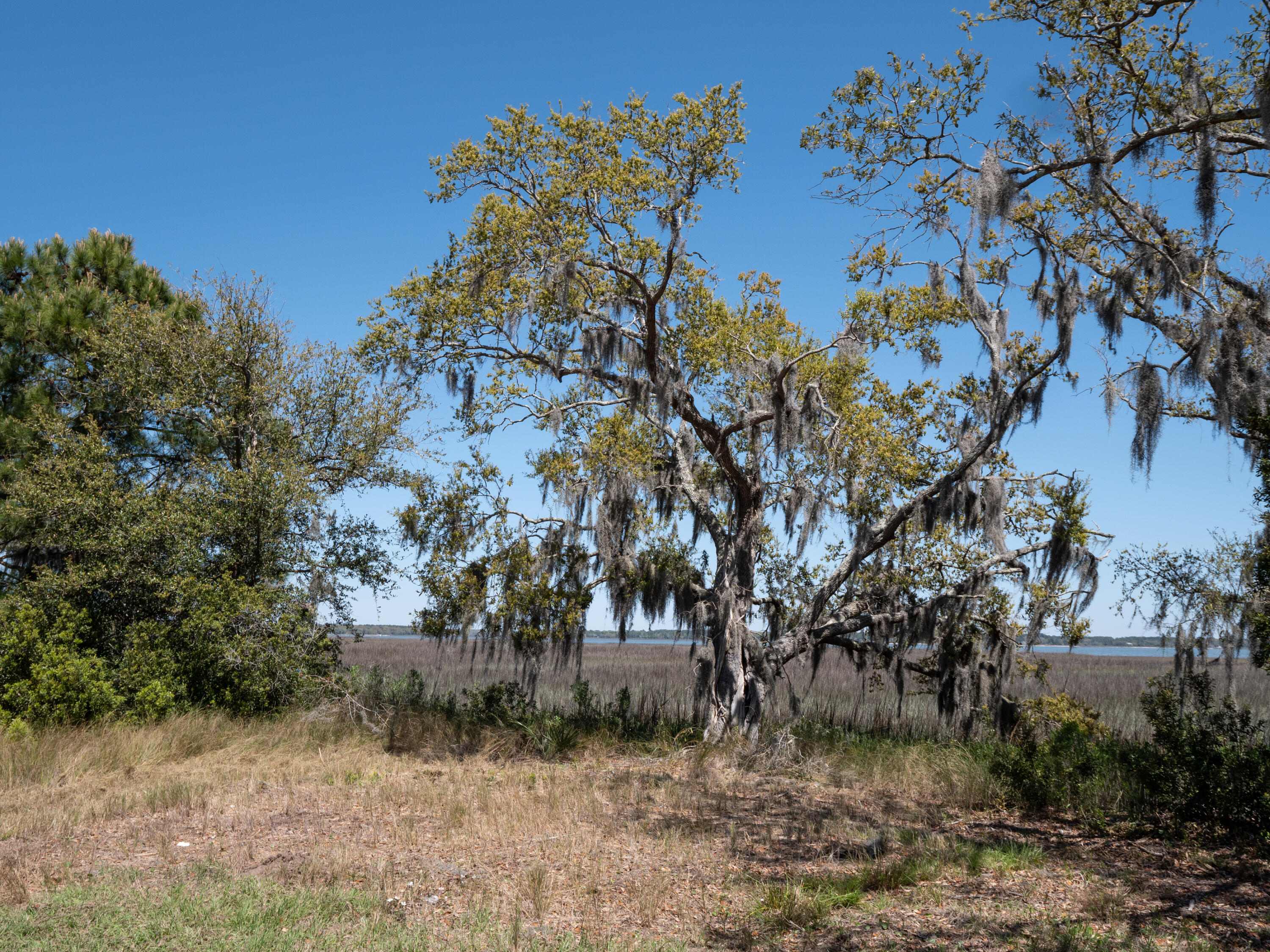 Lot 10 Hopkins Place Road Edisto Island, SC 29438 - Photo 14 of 17 Edisto-1495325