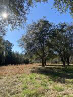 Lot 10 Hopkins Place Road Edisto Island, SC 29438 - Photo 15 of 17 28304
