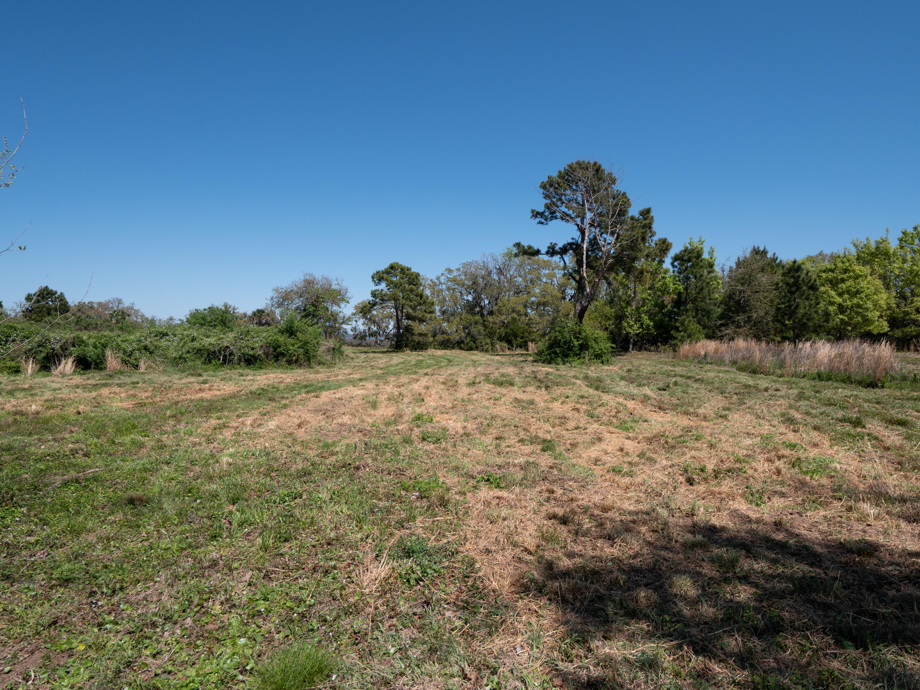Lot 10 Hopkins Place Road Edisto Island, SC 29438 - Photo 16 of 17 Edisto-1495320
