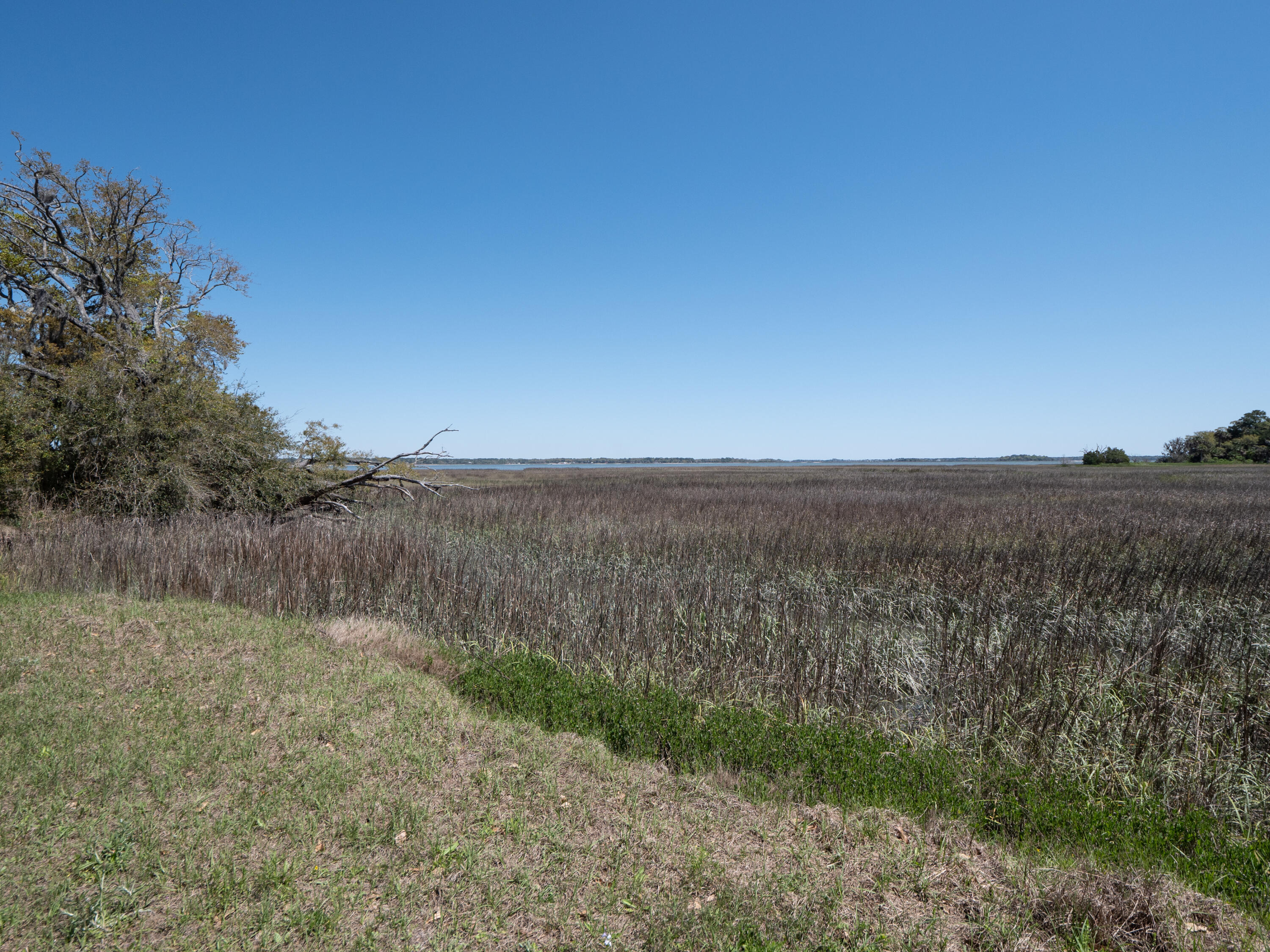 Lot 10 Hopkins Place Road Edisto Island, SC 29438 - Photo 17 of 17 Edisto-1495304