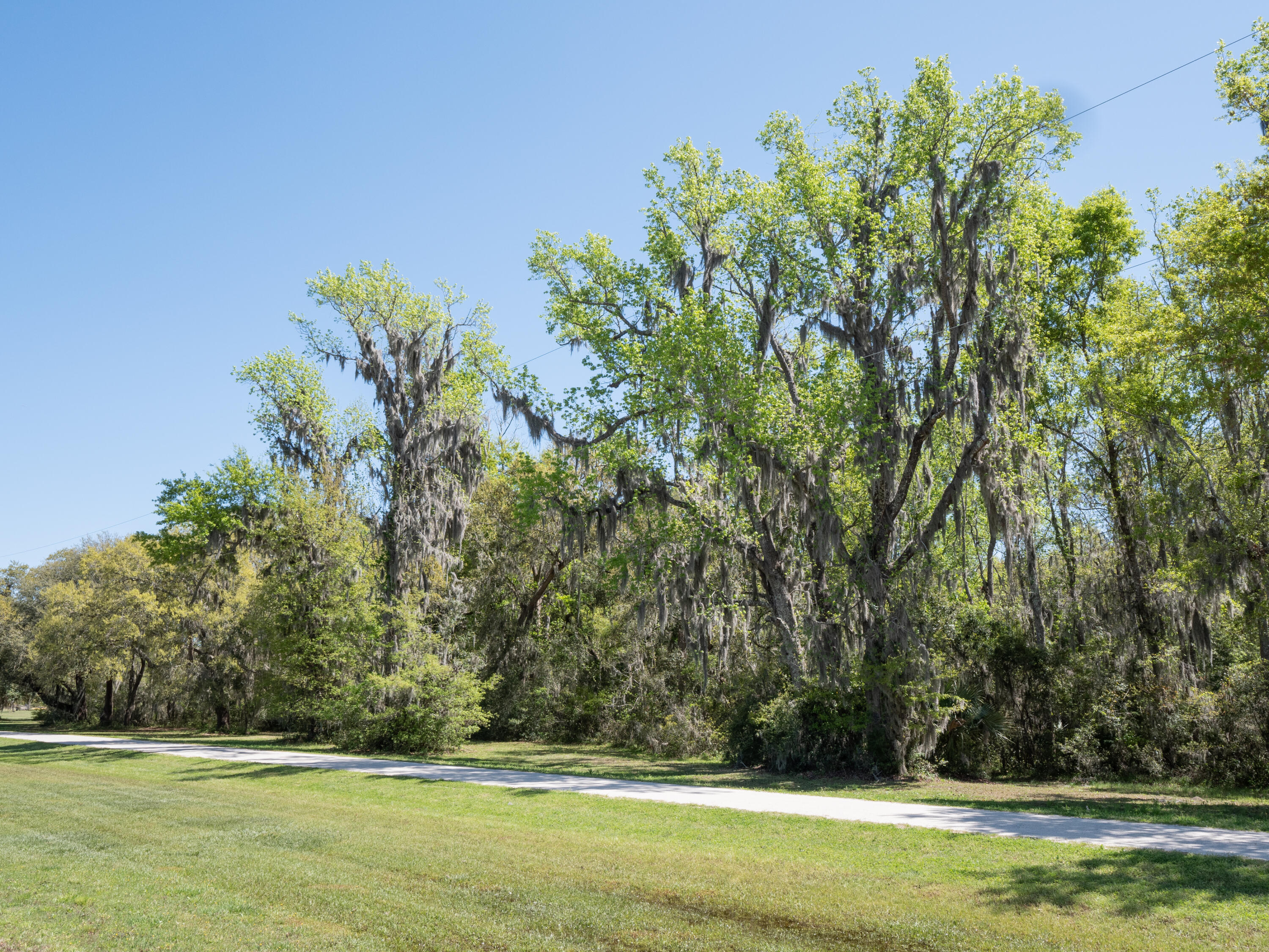 Edisto-1495390