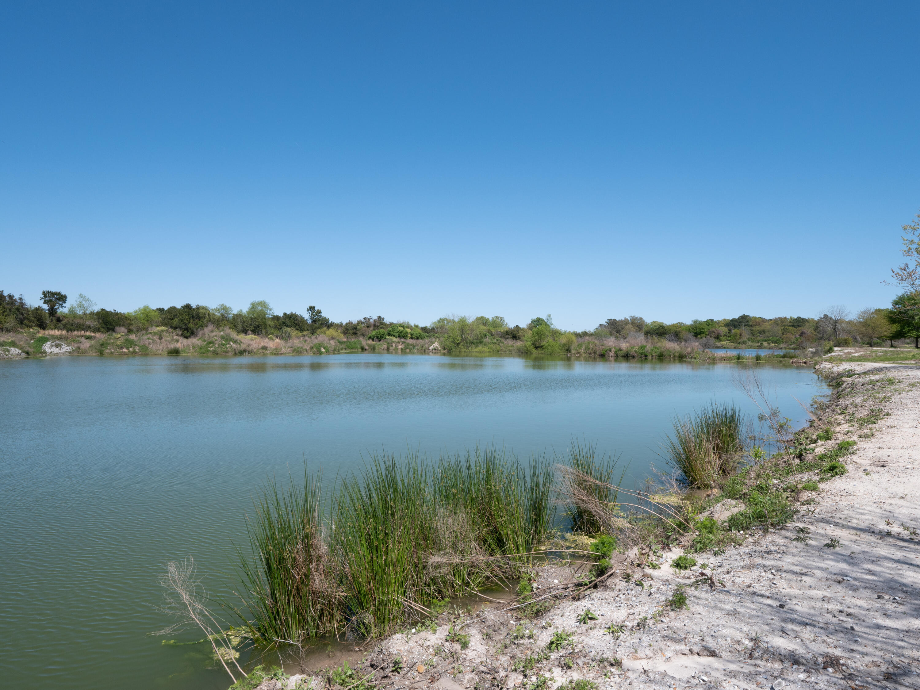 Edisto-1495386