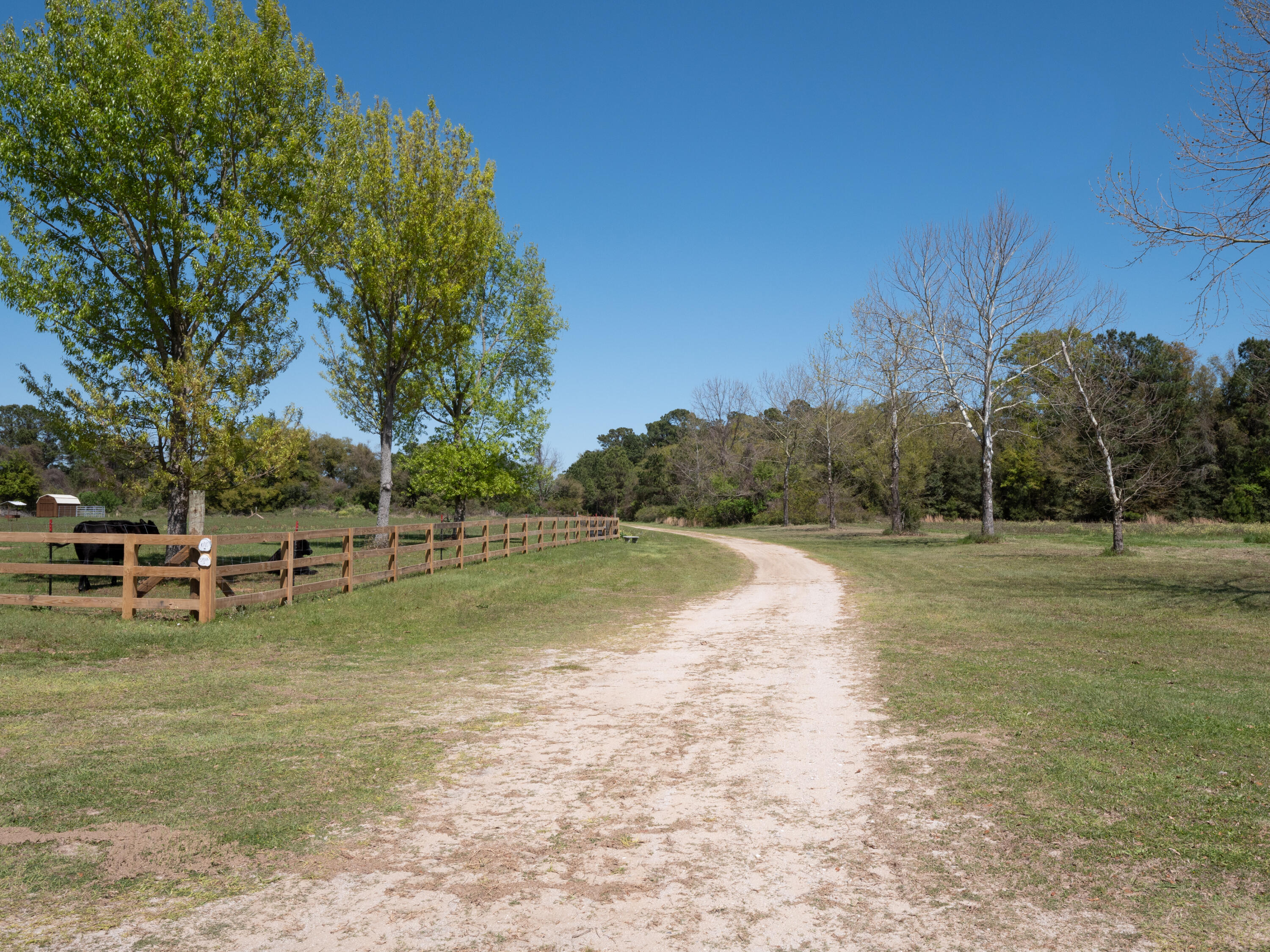 Lot 10 Hopkins Place Road Edisto Island, SC 29438 - Photo 8 of 17 Edisto-1495396