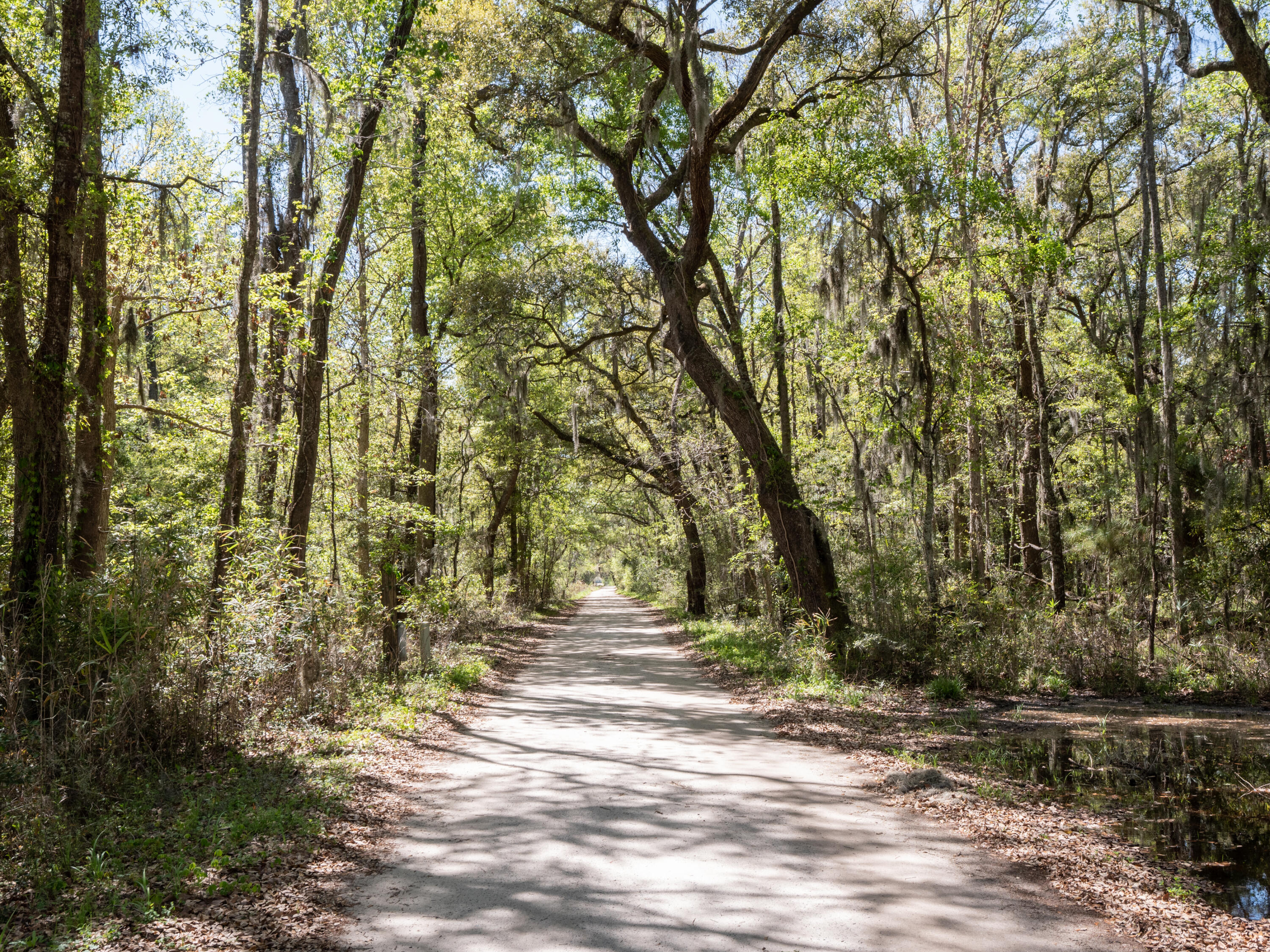 Lot 10 Hopkins Place Road Edisto Island, SC 29438 - Photo 9 of 17 Edisto-1495407