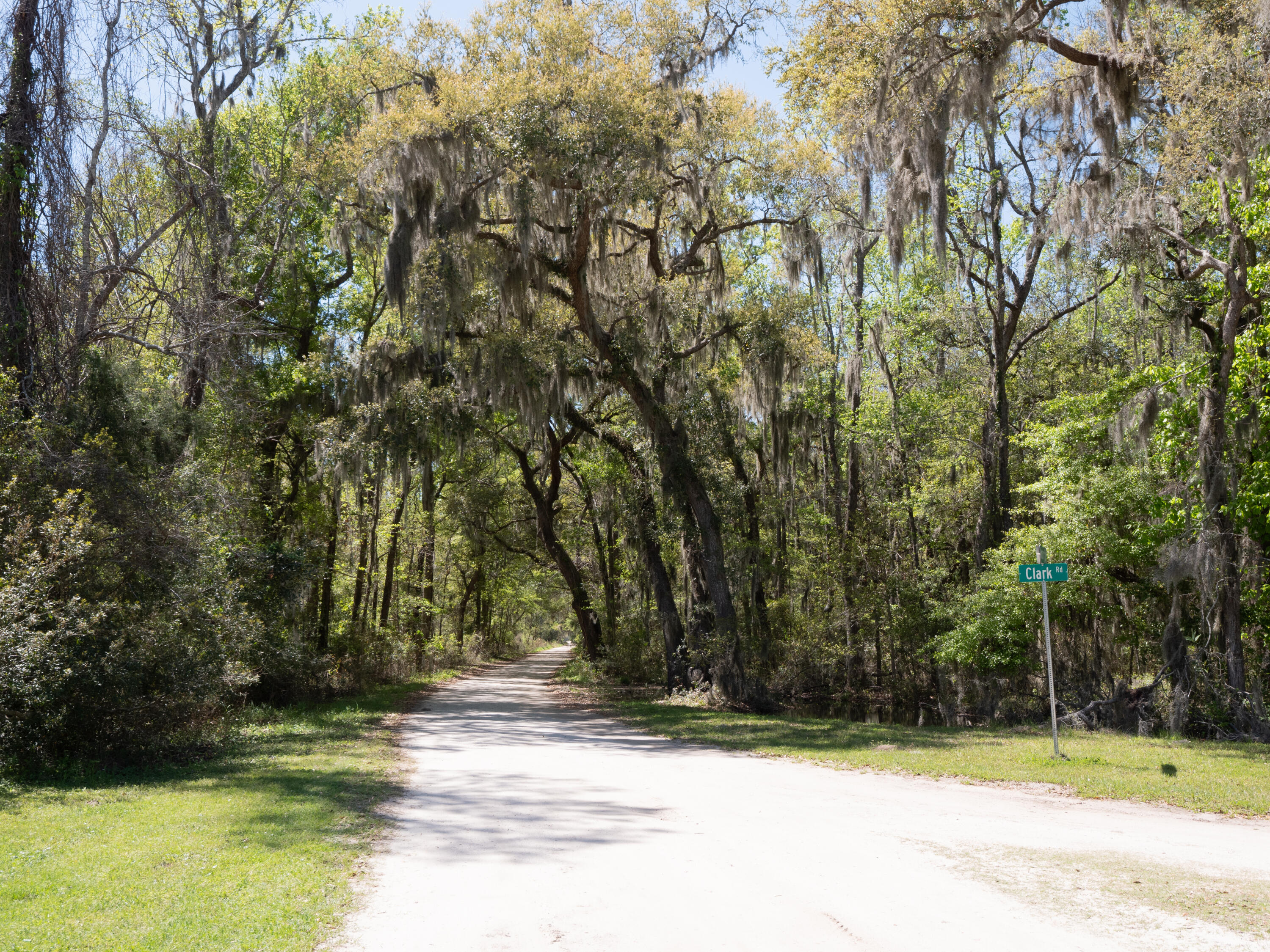 Lot 10 Hopkins Place Road Edisto Island, SC 29438 - Photo 10 of 17 Edisto-1495382
