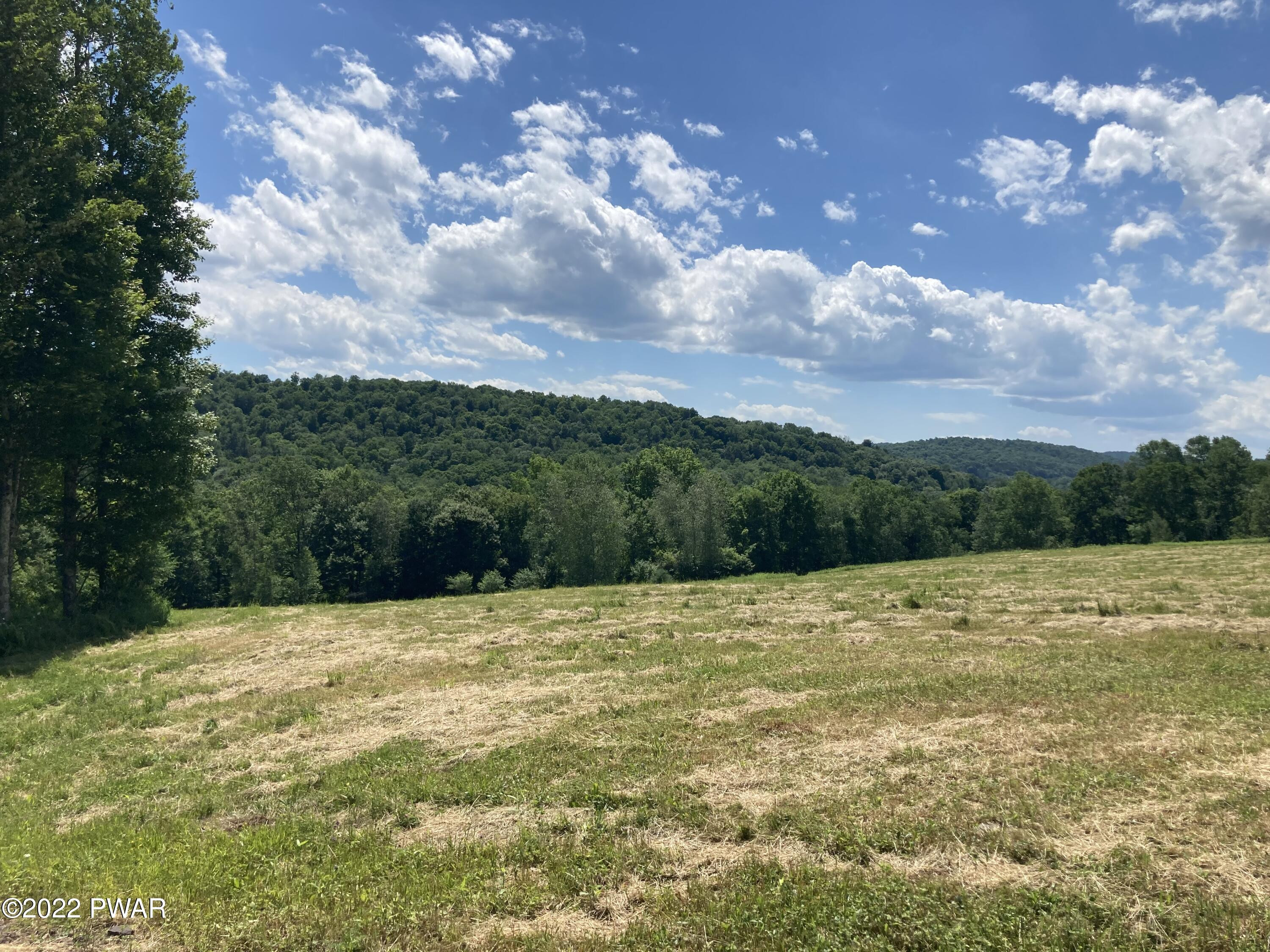 841 B Callicoon Road Damascus, PA 18415 - Photo 31 of 38 Choices