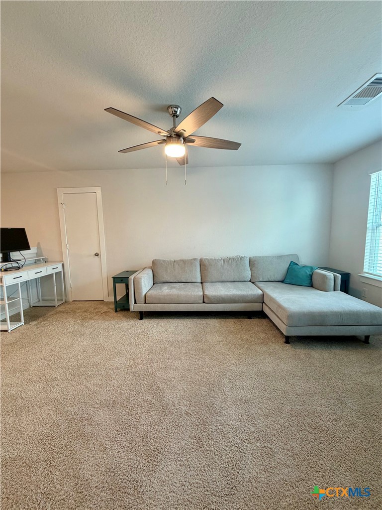 115 Rosa Road San Marcos, TX 78666 - Photo 12 of 23