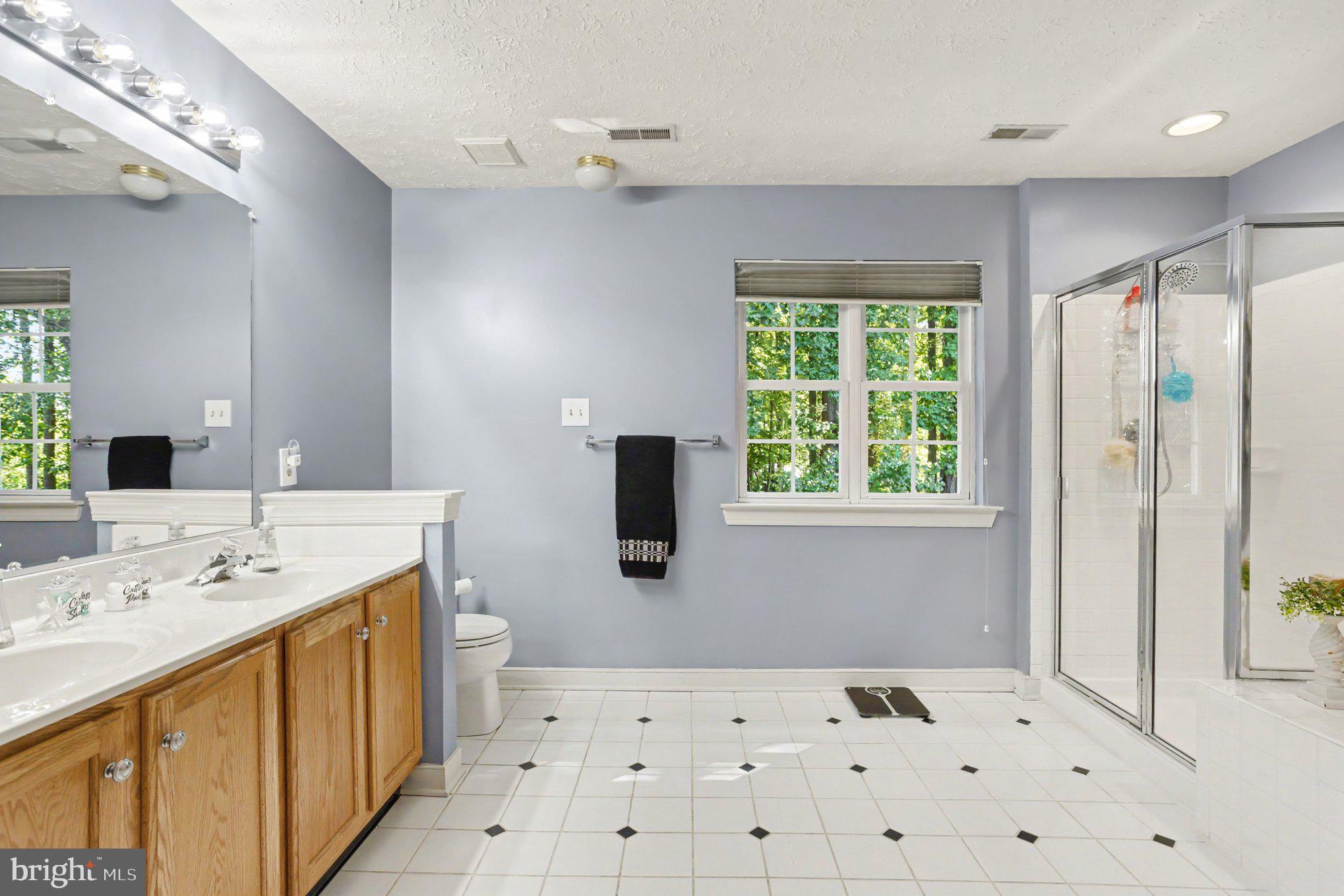 502 Copeland Road Fallston, MD 21047 - Photo 22 of 50 Grand primary bath w/separate shower!