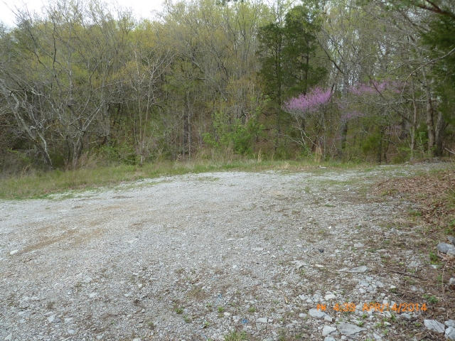 447 Davis Road Strawberry Plains, TN 37871 - Photo 11 of 13 drive