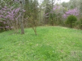 447 Davis Road Strawberry Plains, TN 37871 - Photo 13 of 13 yard