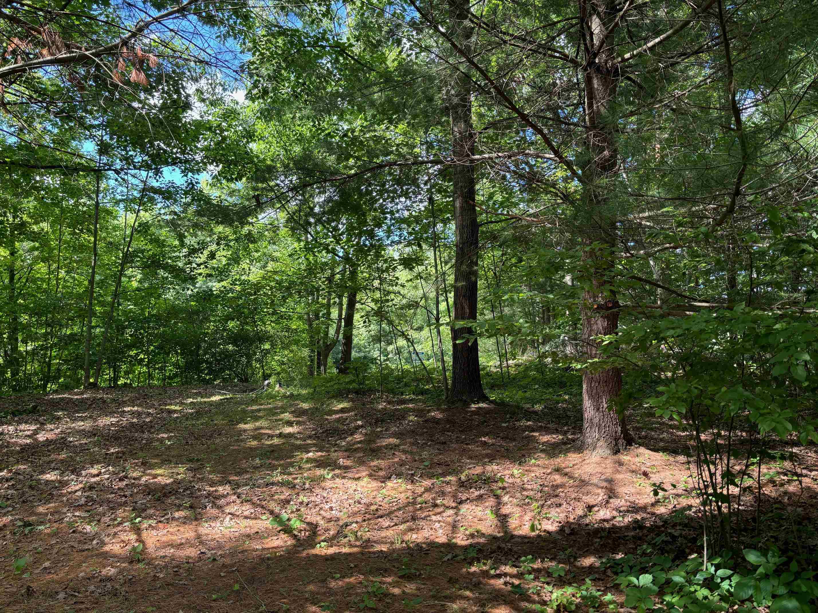 496 White Road Gladwin, MI 48624 - Photo 15 of 19 Gallery Image 15