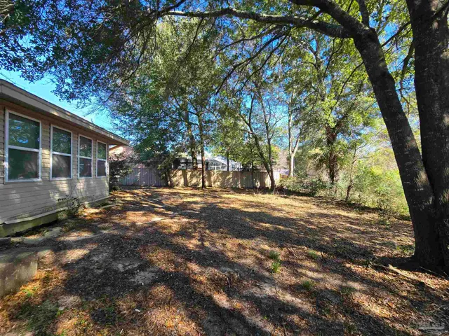 a view of a yard with a tree