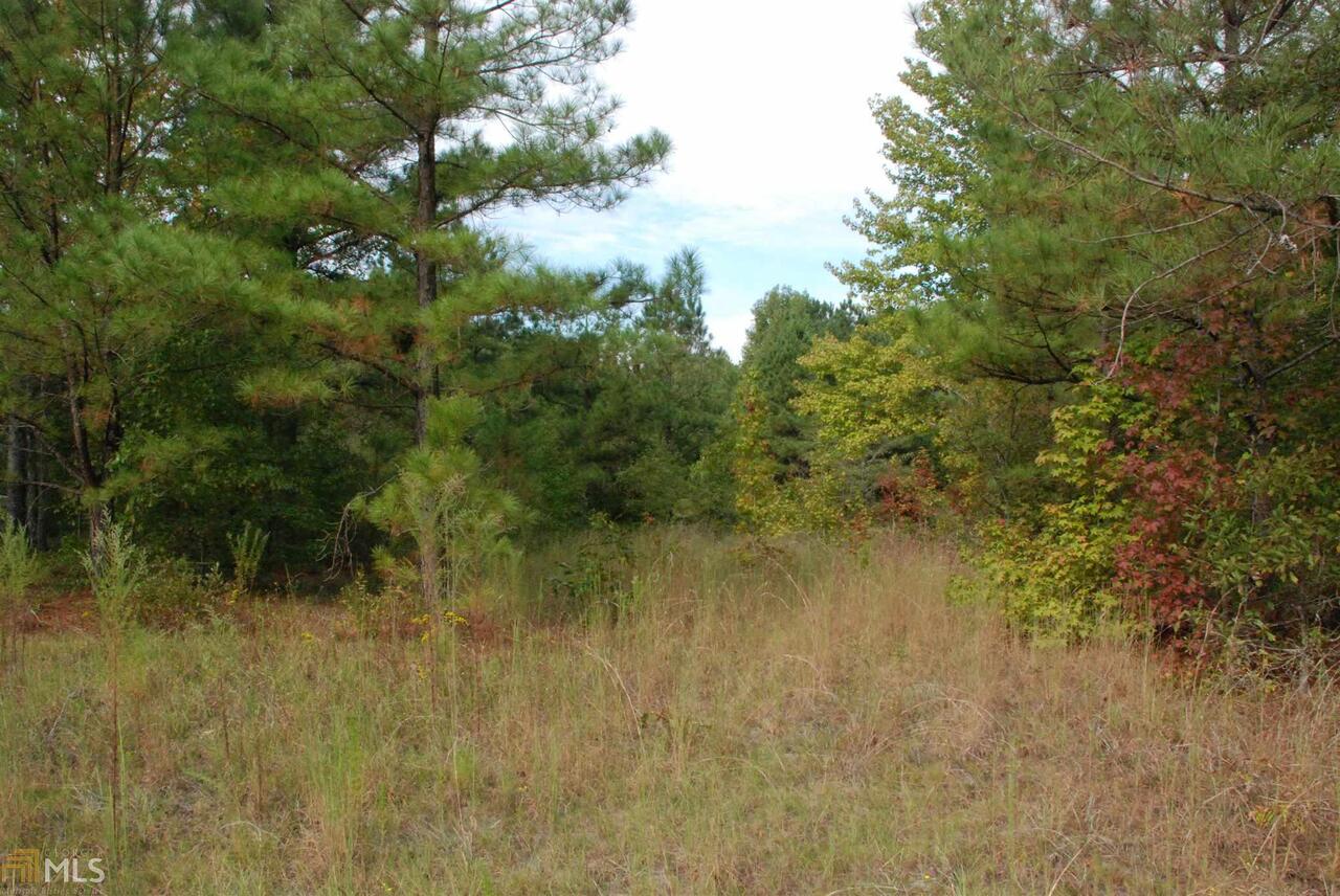 0 Rock Church Road Junction City, GA 31812 - Photo 1 of 1 Gallery Image 1