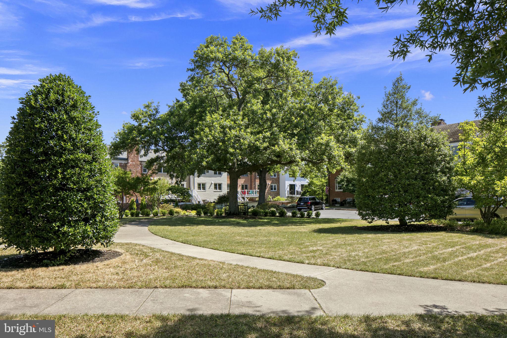 6332 Golf Course Square Alexandria, VA 22307 - Photo 49 of 63