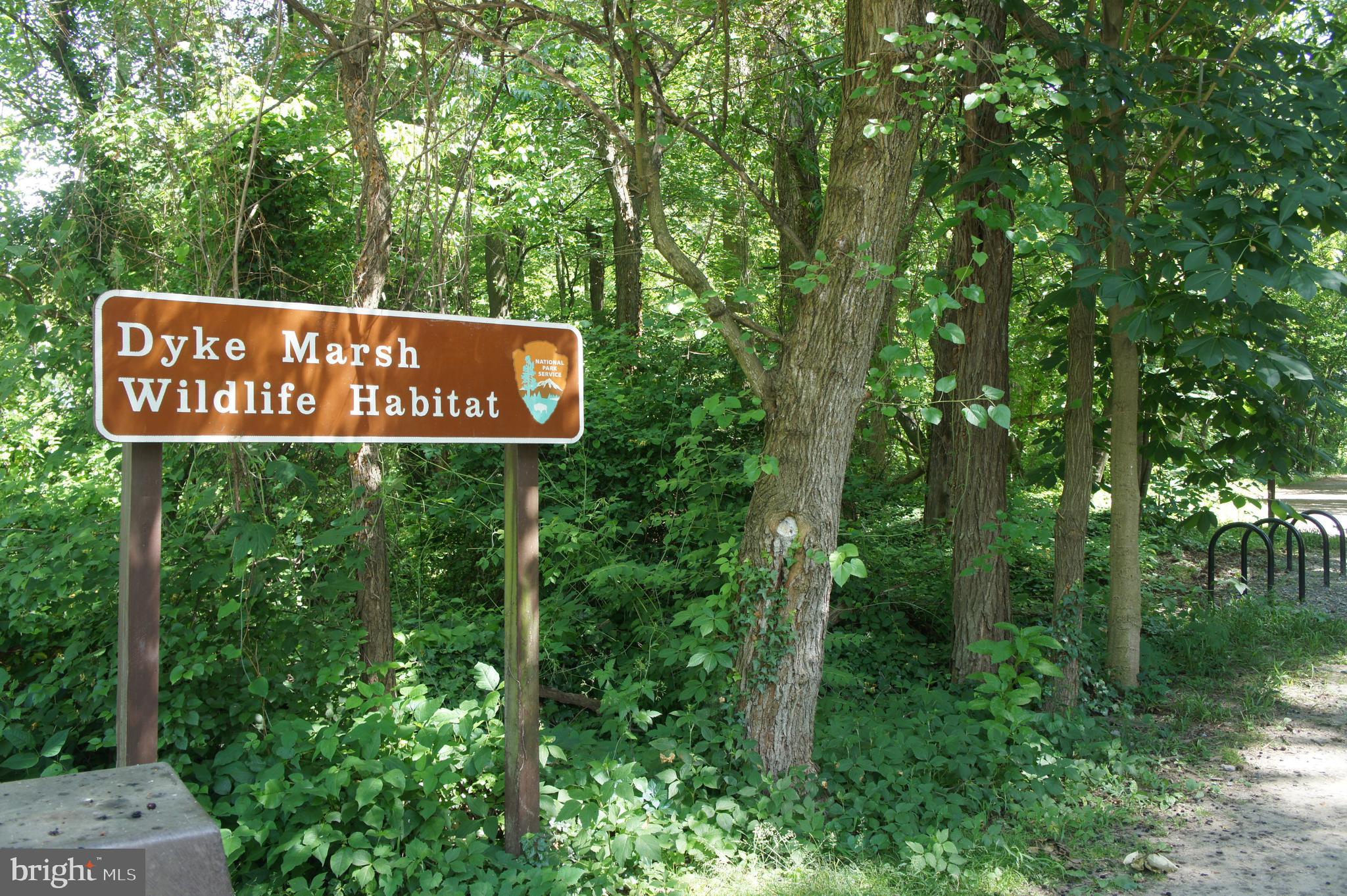 6332 Golf Course Square Alexandria, VA 22307 - Photo 58 of 63