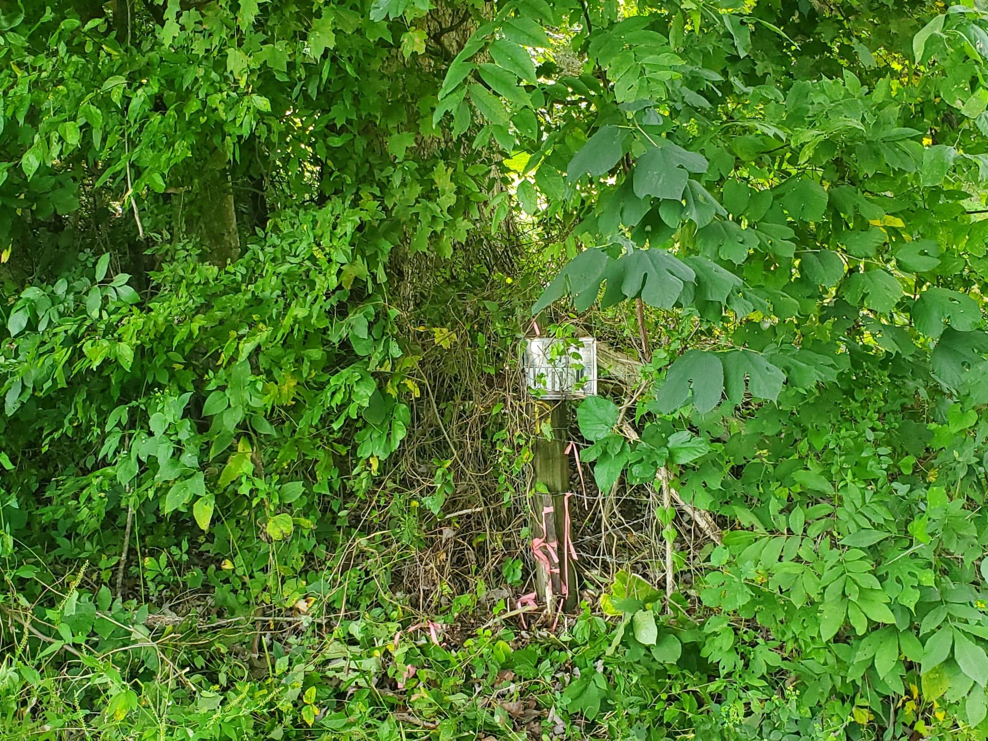 0 Walter Stone Road Sparta, TN 38583 - Photo 1 of 3 Gallery Image 1