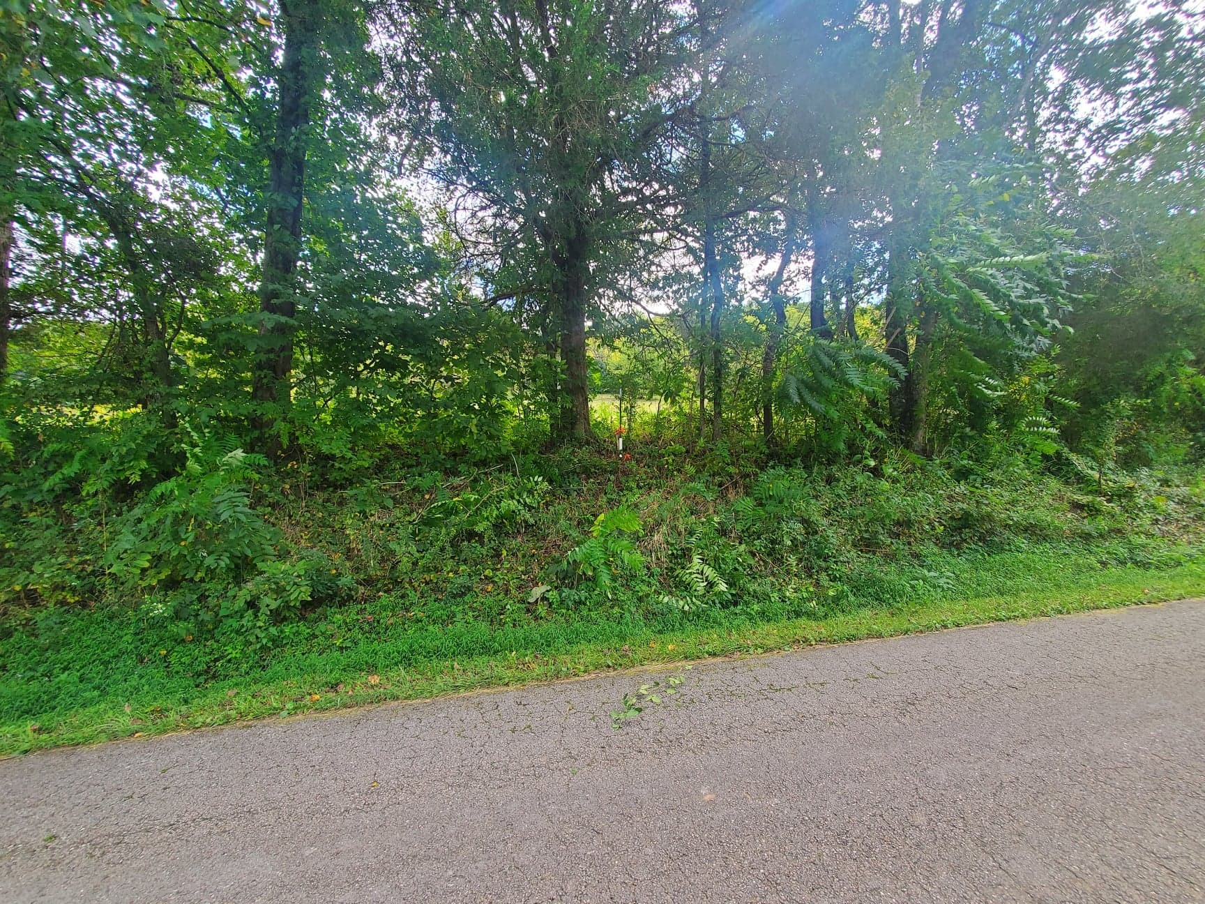 0 Walter Stone Road Sparta, TN 38583 - Photo 3 of 3 Gallery Image 3