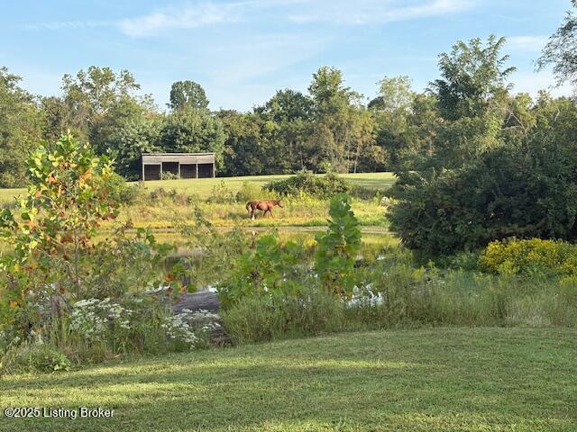 5016 Hopewell Road Louisville, KY 40299 - Photo 5 of 9 IMG_3459