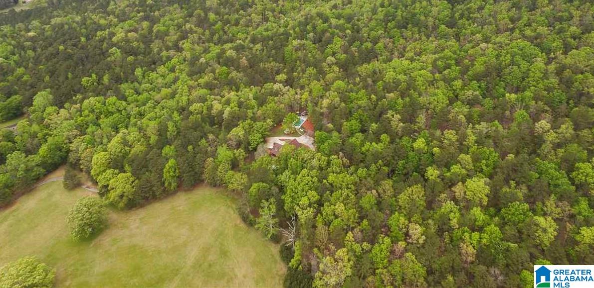 2155 Highway 174 Springville, AL 35146 - Photo 48 of 49 Gallery Image 48