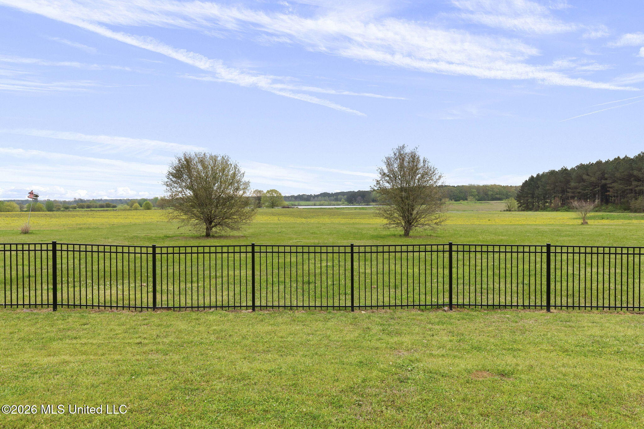 712 Leesburg Road Pelahatchie, MS 39145 - Photo 35 of 43 54-web-or-mls-712 Leesburg-54