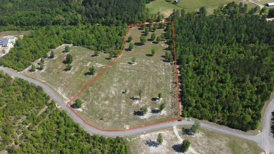 0 Cooks Pond Road Windsor, SC 29856 - Photo 1 of 14 Main Photo