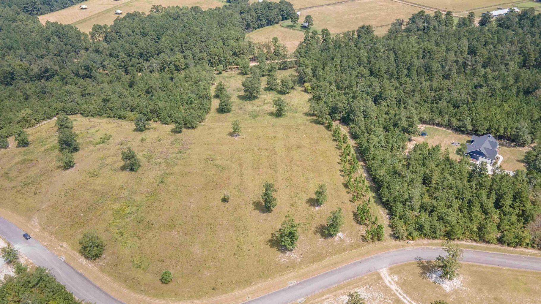 0 Cooks Pond Road Windsor, SC 29856 - Photo 5 of 14 20250908123213099699000000-o