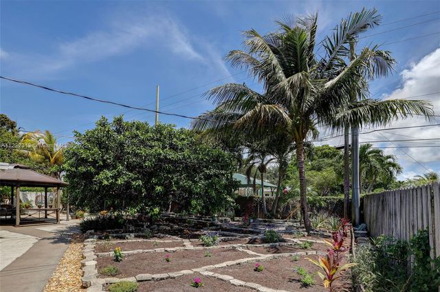 a view of a palm trees front of house