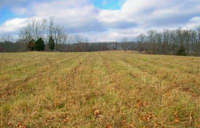 1 Forge Hill Road Owingsville, KY 40360 - Photo 6 of 10 Photo 6