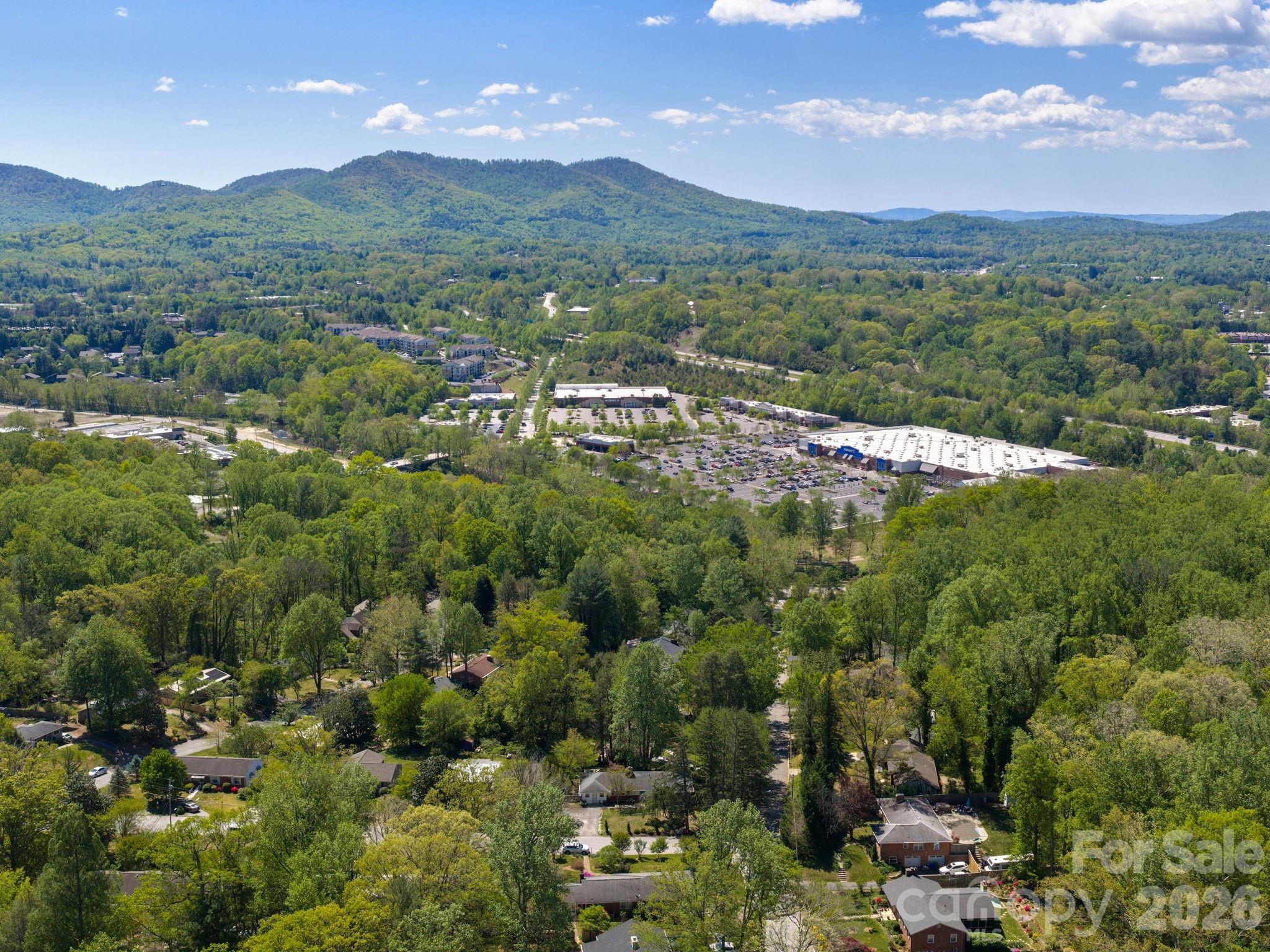 8 Fernlawn Road Asheville, NC 28805 - Photo 40 of 40
