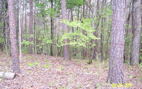 482 Rivoli Court Ellijay, GA 30540 - Photo 1 of 1 Main View