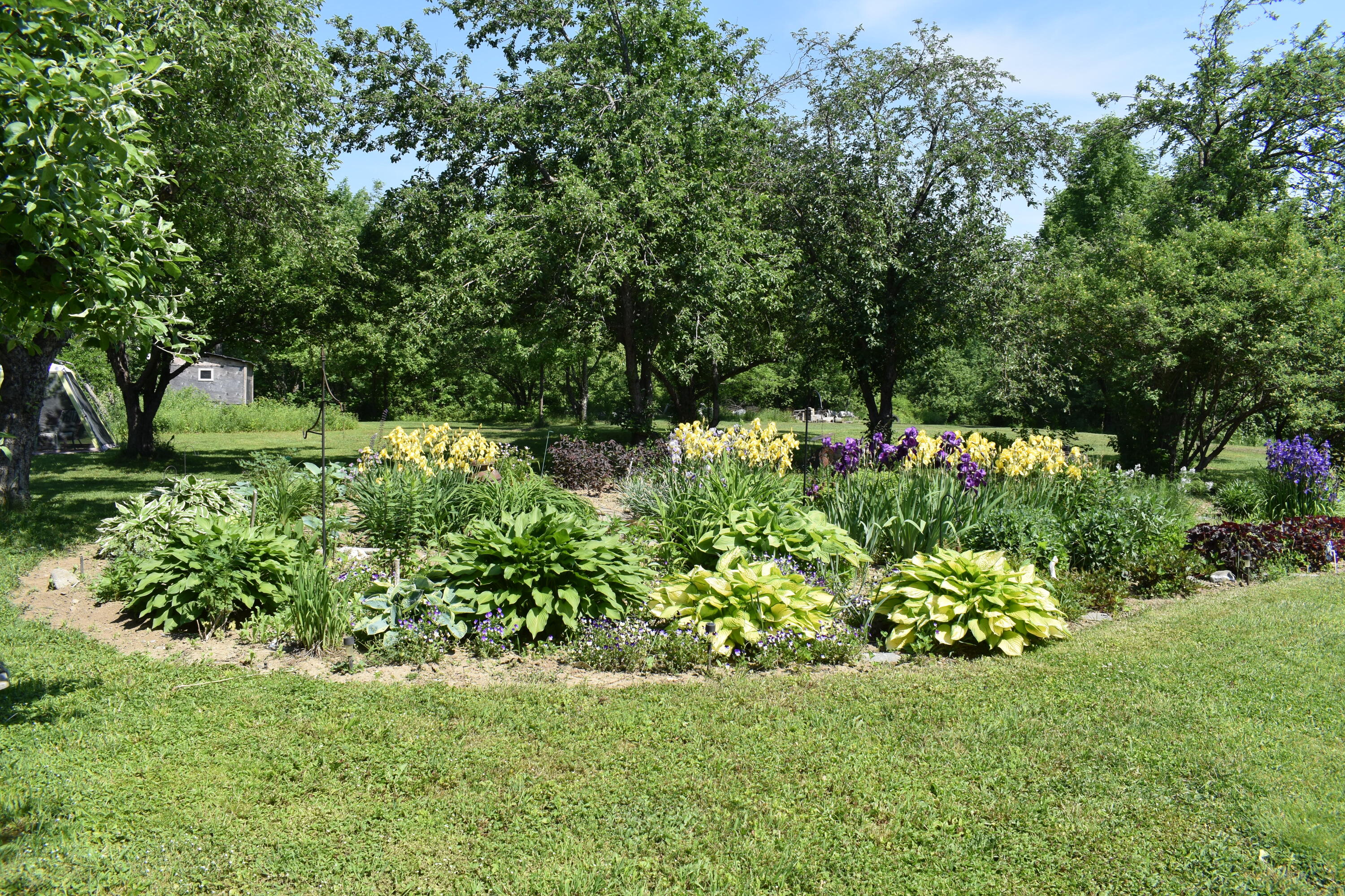470 Dexter Road St. Albans, ME 04971 - Photo 8 of 47 33