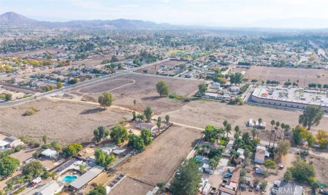a couple of flower plants in front of building