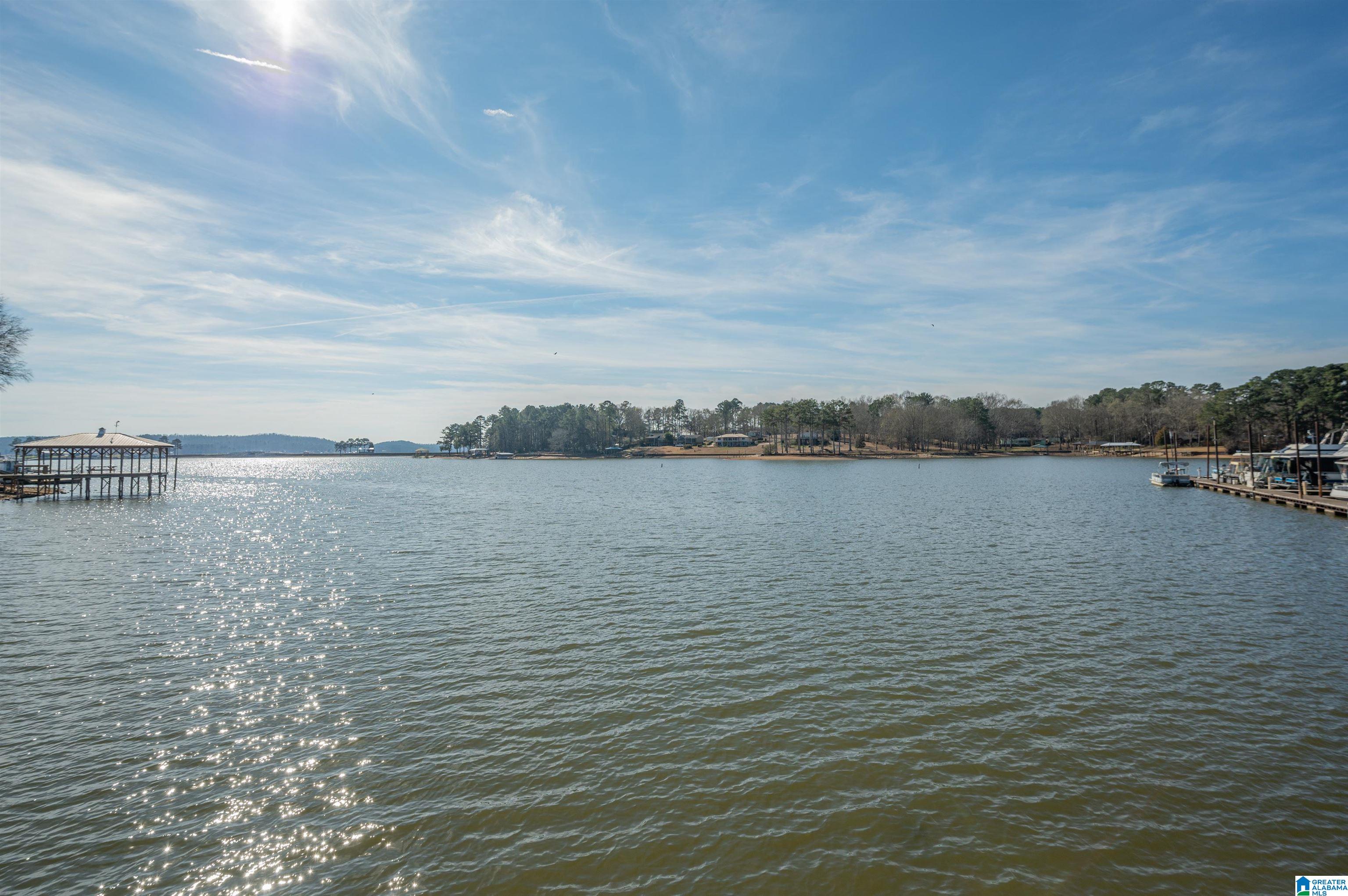 1002 Coosa Island Road Cropwell, AL 35054 - Photo 1 of 49