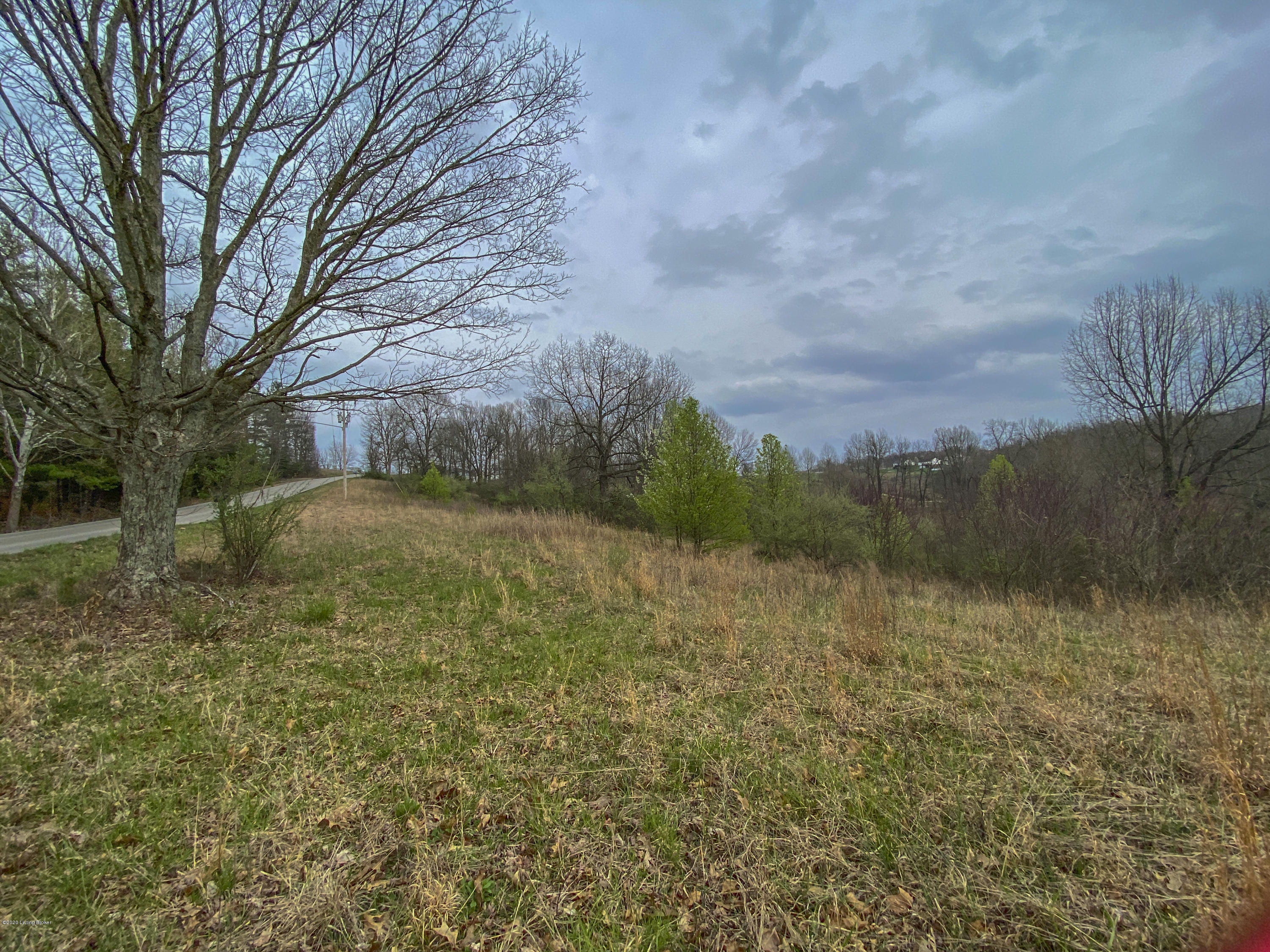 Lot 7 Sunbeam Road Leitchfield, KY 42754 - Photo 13 of 21 IMG_0633
