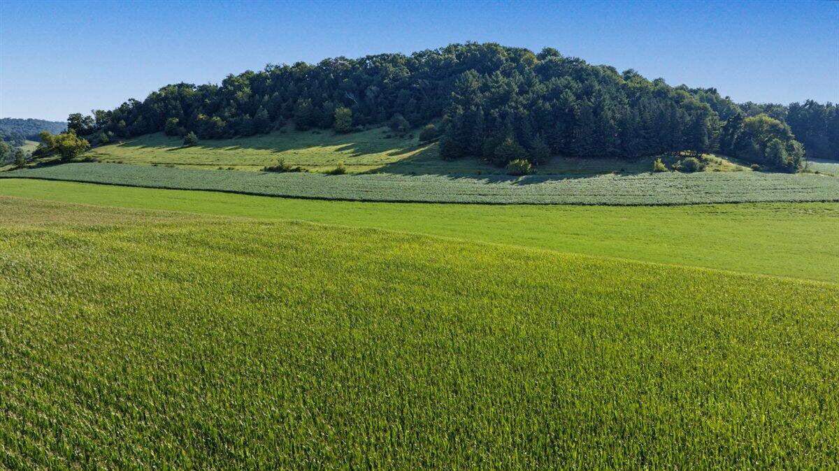 N3290 Russlan Coulee Road Barre, WI 54601 - Photo 51 of 79 091-DJI_0239