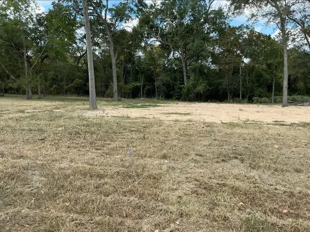 a view of a backyard with a trees