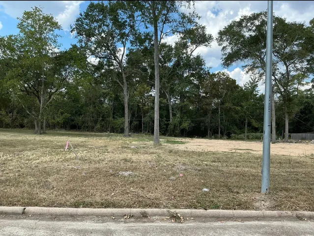 a backyard of a house with lots of trees