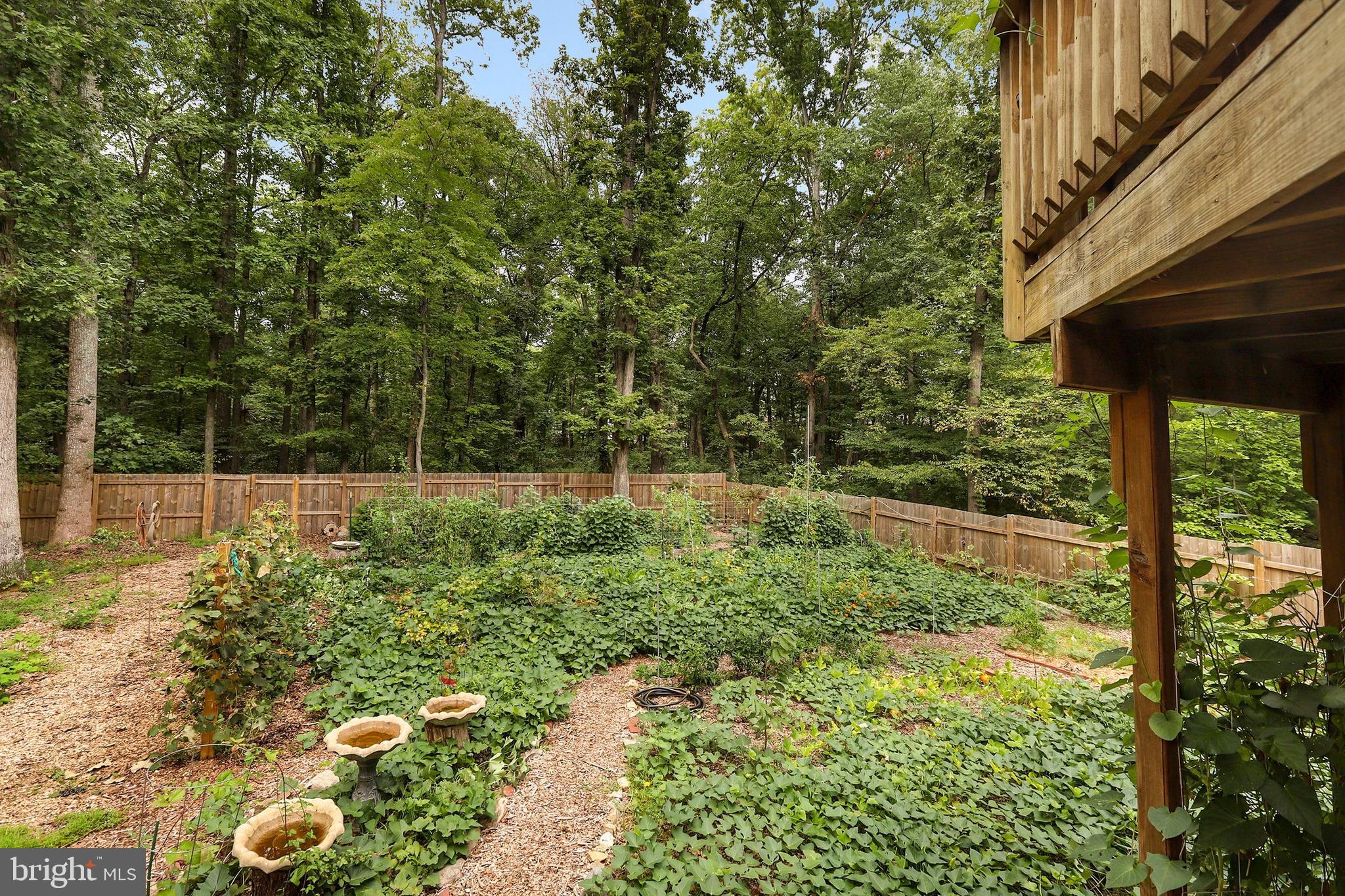 2505 Freetown Drive Reston, VA 20191 - Photo 49 of 56
