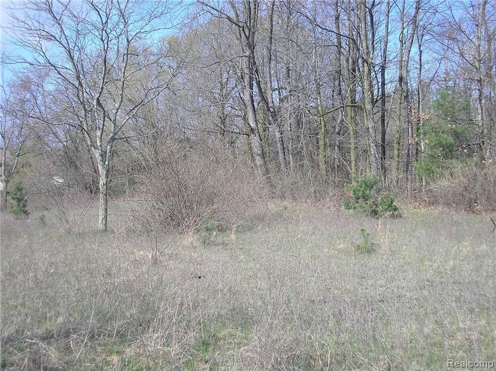 1176 Riley Road Caro, MI 48723 - Photo 3 of 3
